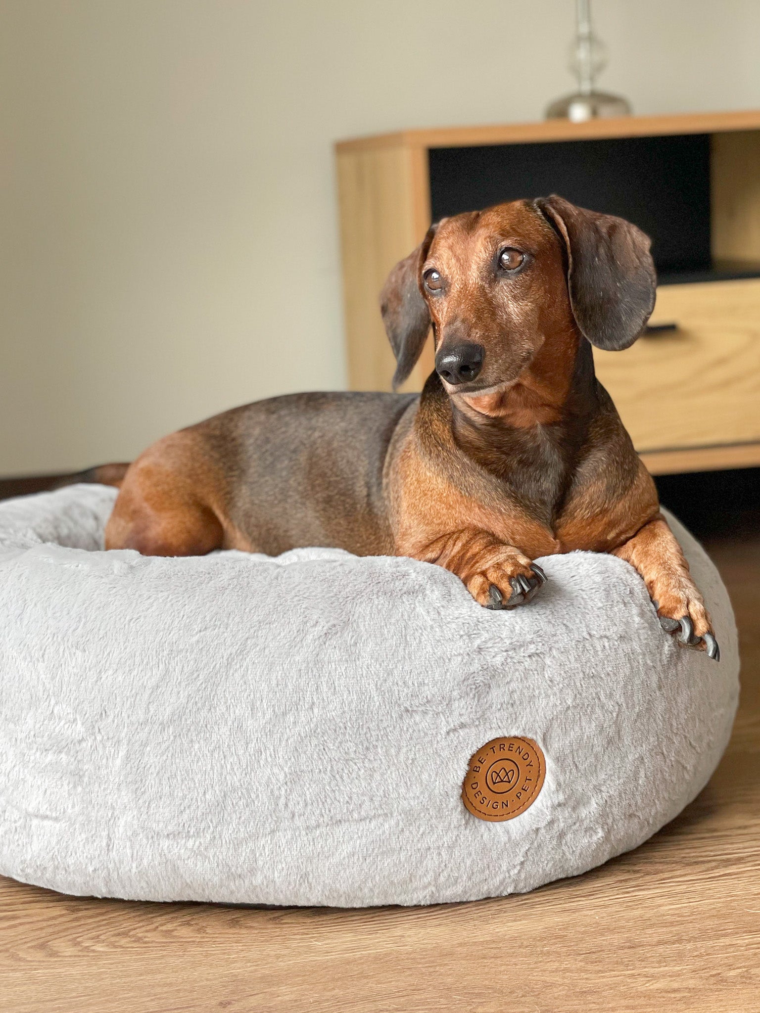 CAMA ANTIESTRES PARA PERRO CIAMBELLA SILVER