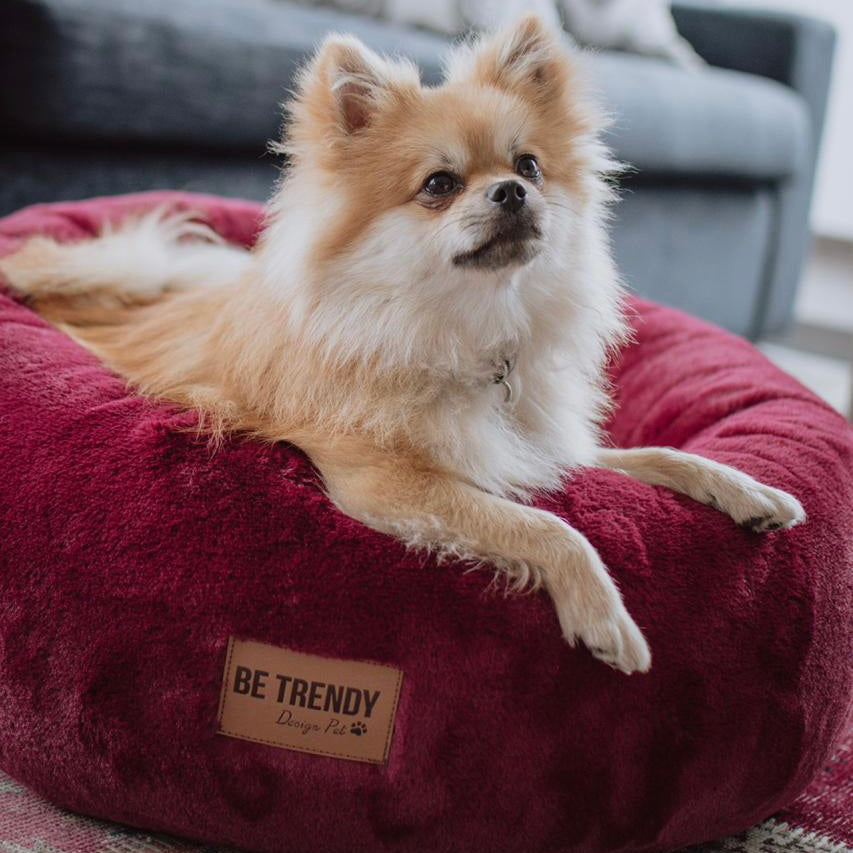 CAMA ANTIESTRES PARA PERRO CIAMBELLA CHERRY