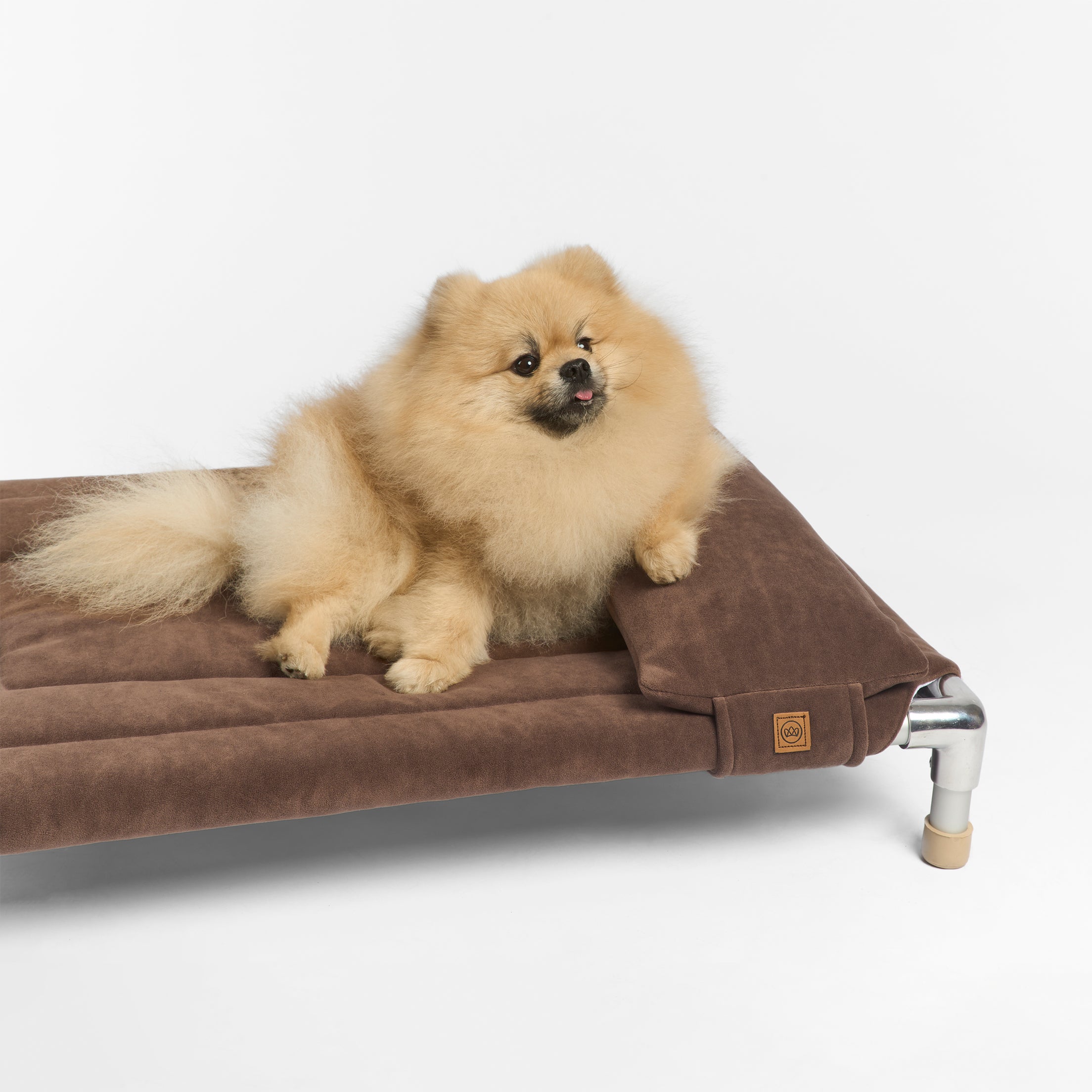 Cama para perro resistente hamaca elevada tartufo be trendy