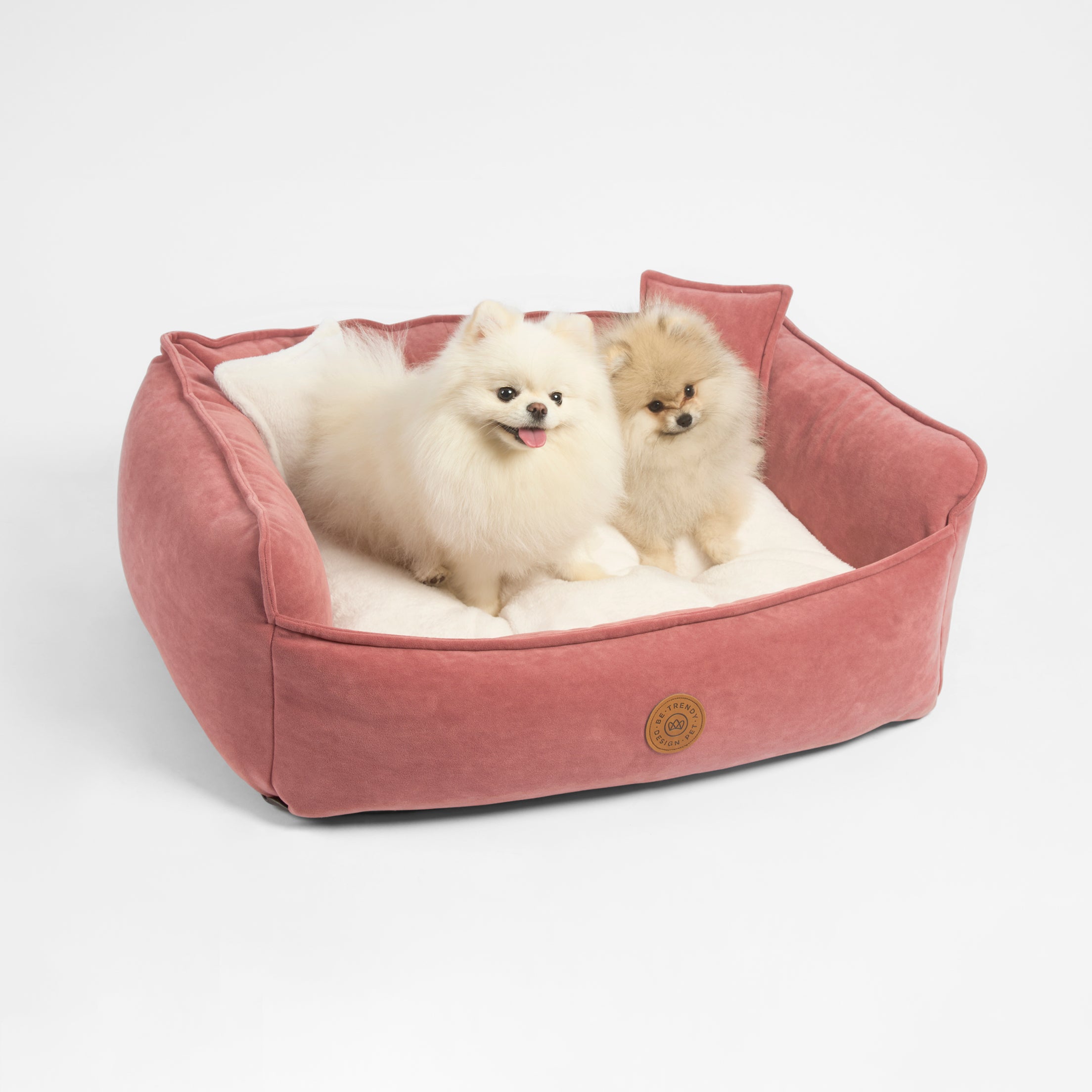 Cama para perros pequeños y grandes divano be trendy
