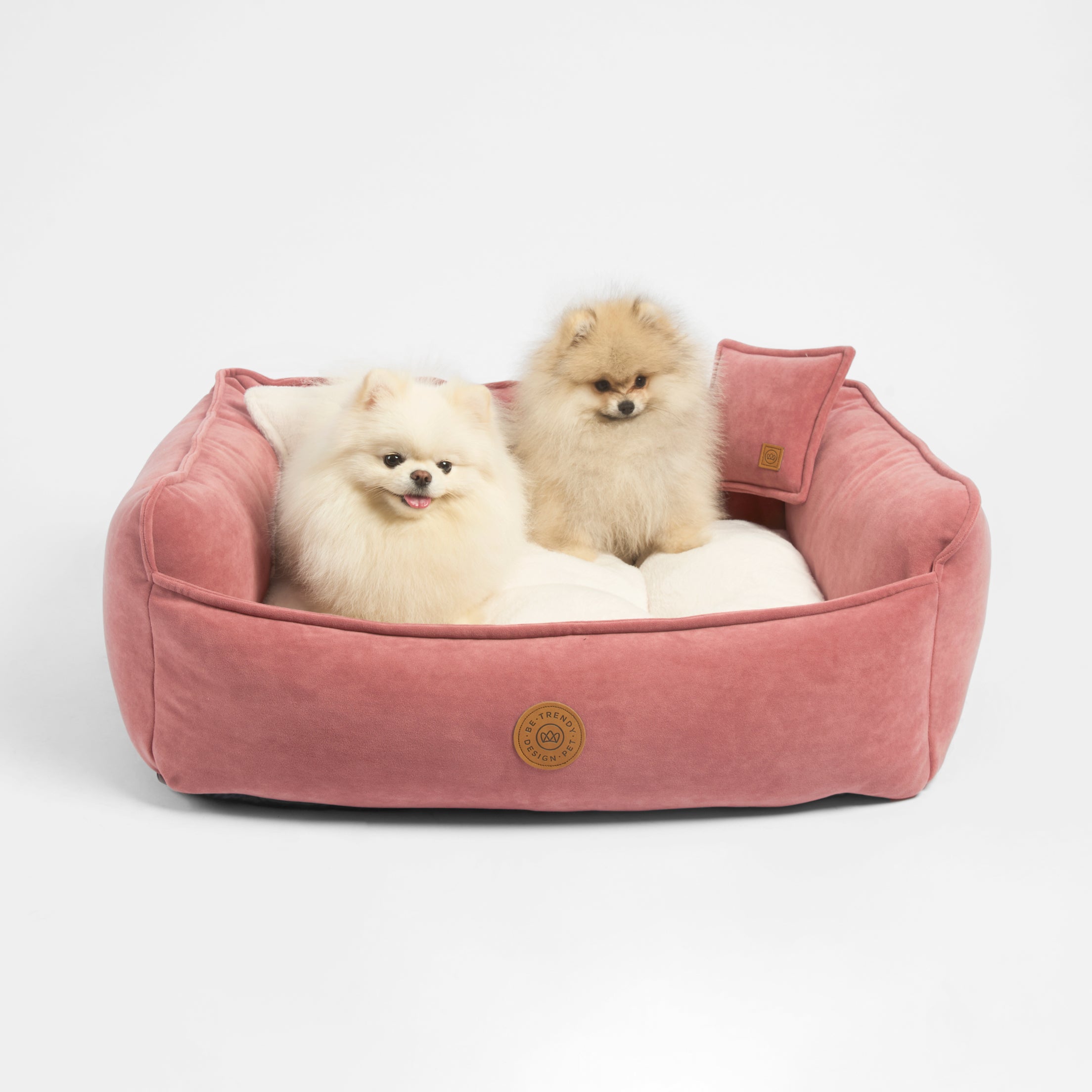Cama para perros pequeños y grandes divano be trendy