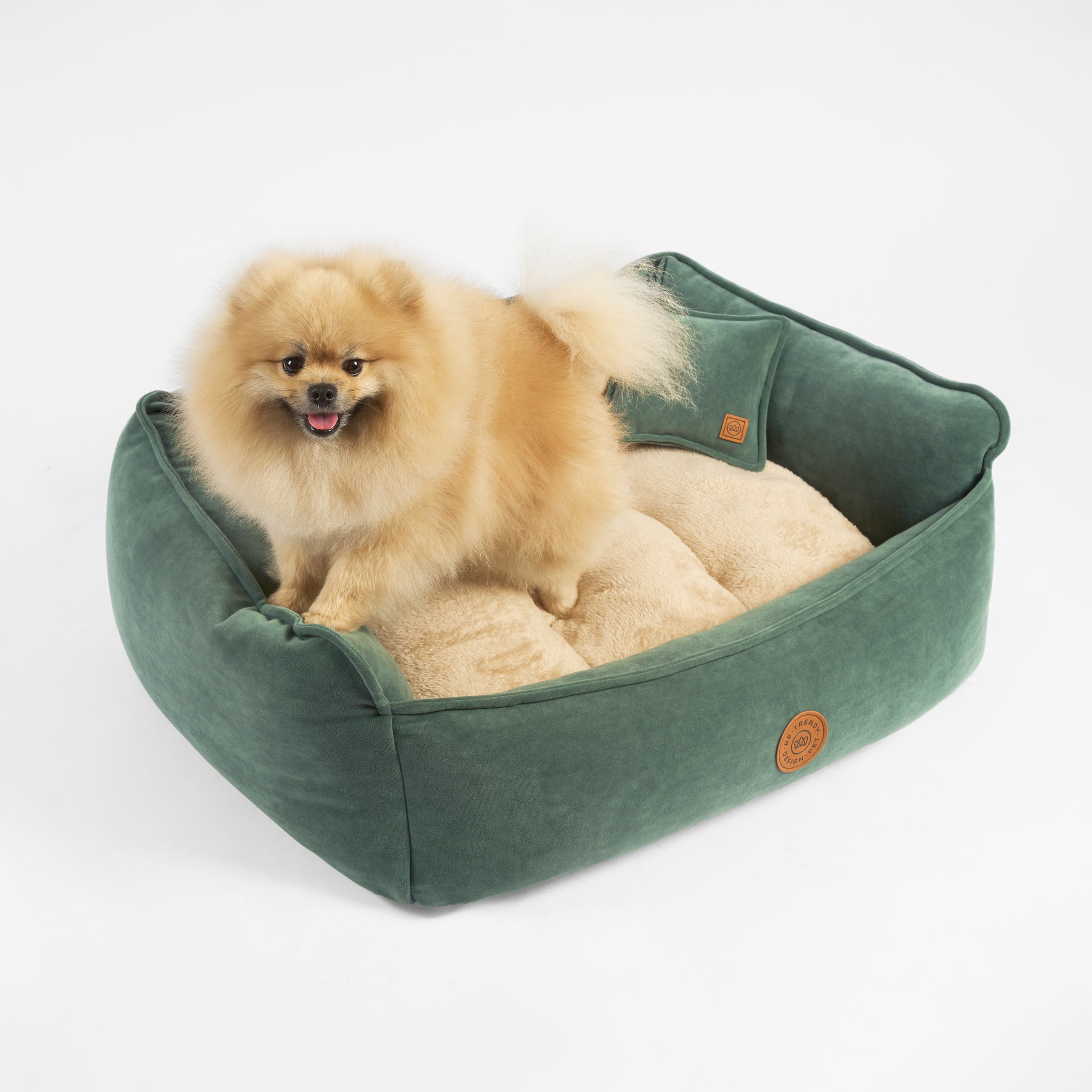 Cama para perros pequeños y grandes divano be trendy