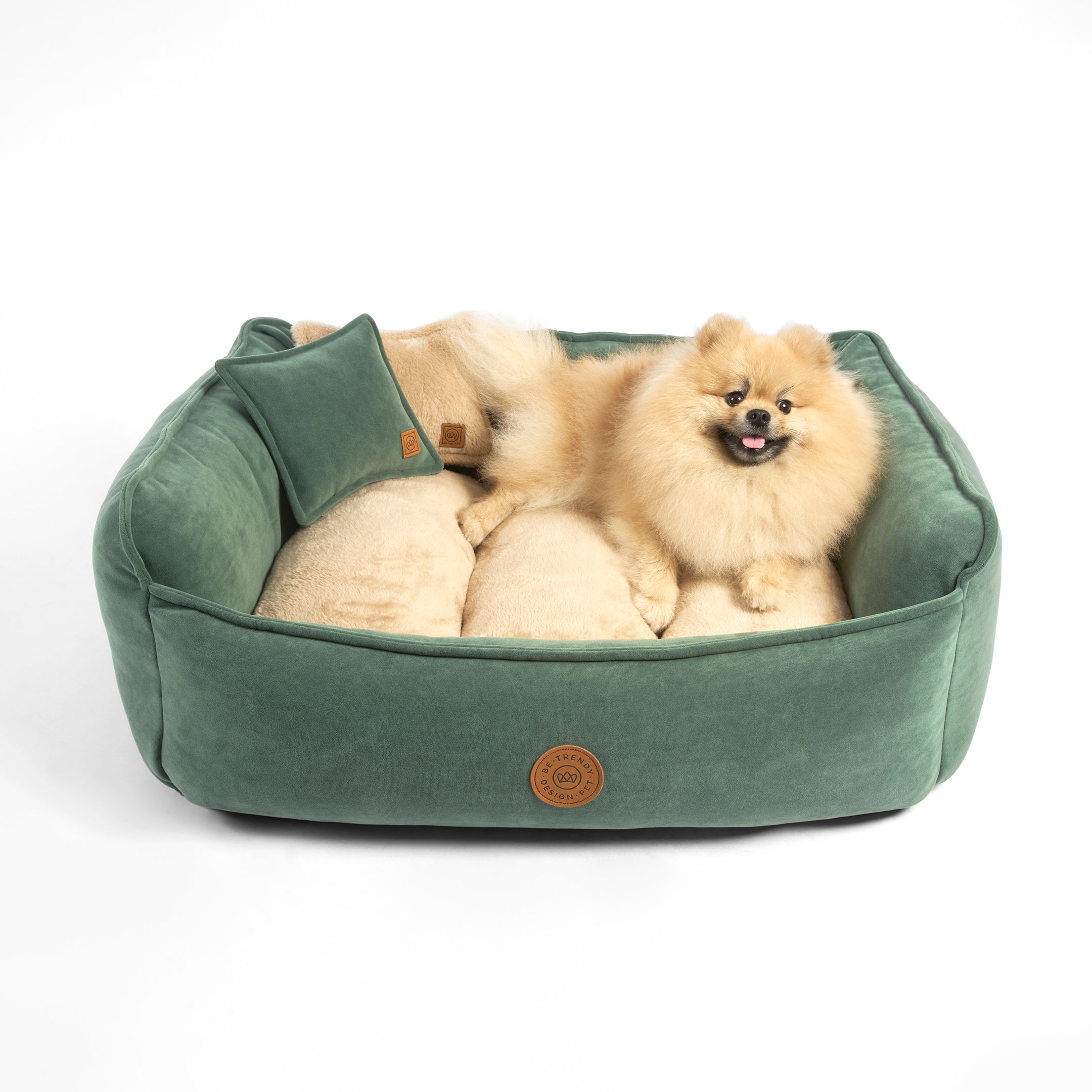 Cama para perros pequeños y grandes divano be trendy
