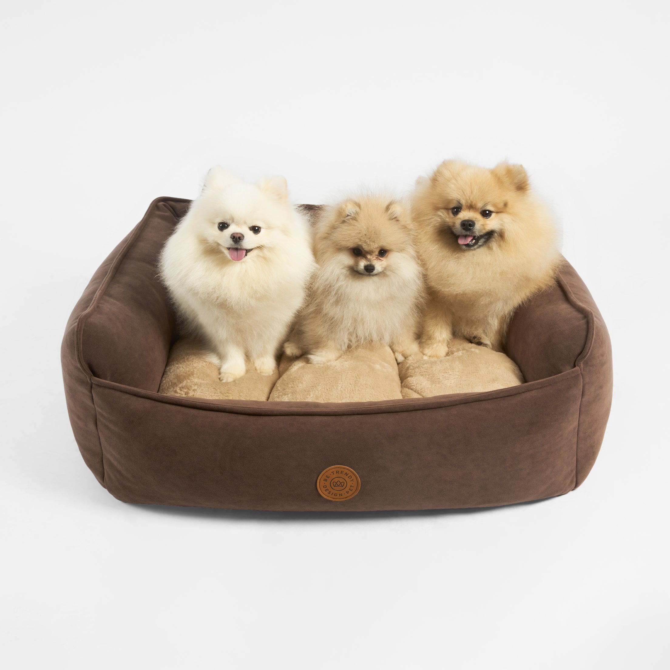 Cama para perros pequeños y grandes divano be trendy