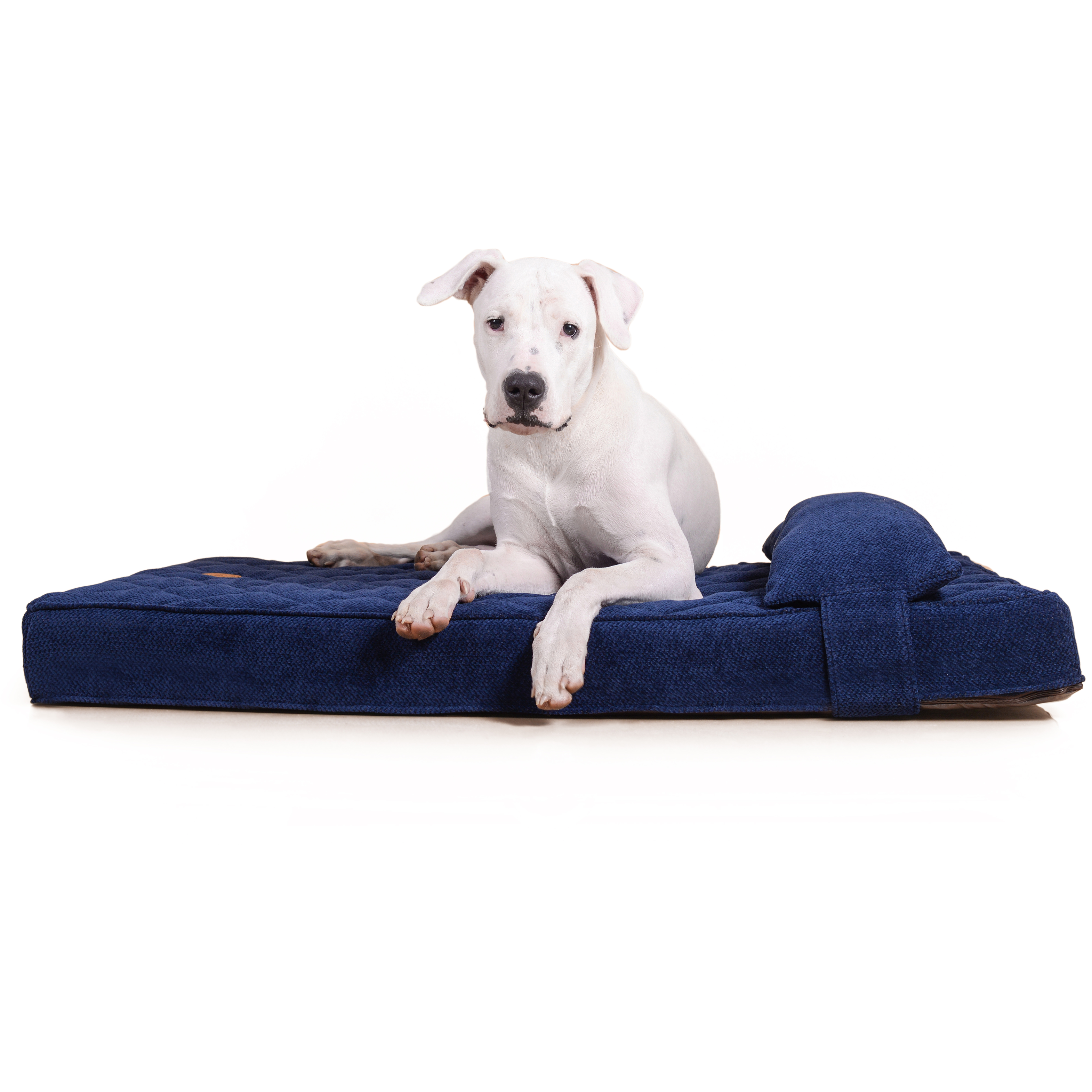 Cama para perros grandes descuento maseratto be trendy