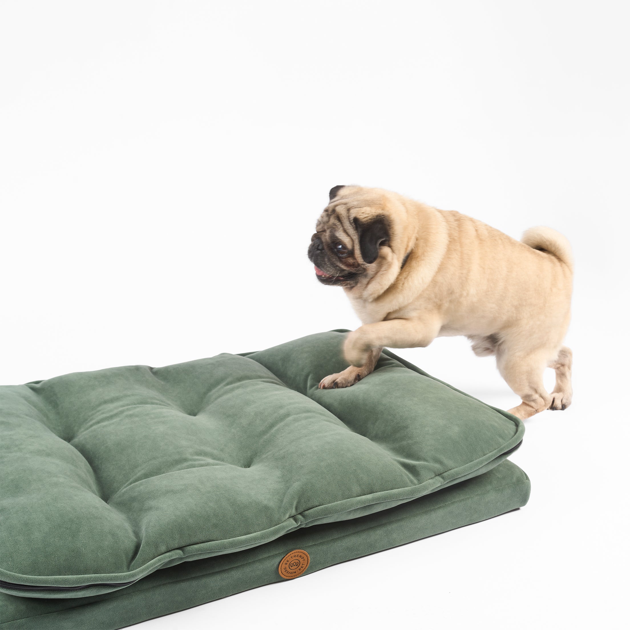 Cama para perros grandes y medianos moon be trendy