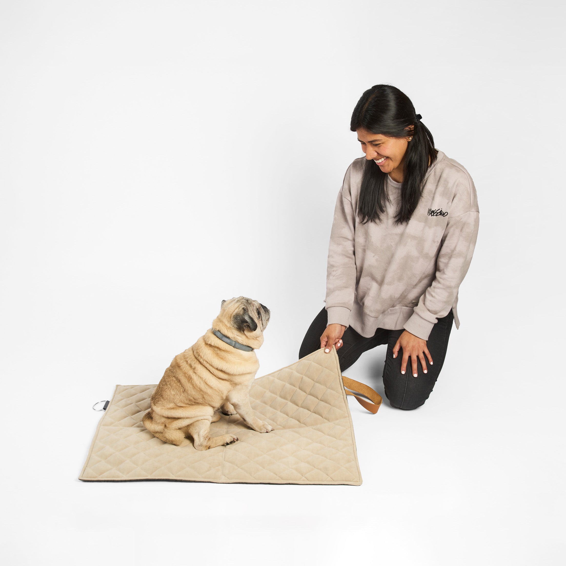 Cama portátil para perros: Comodidad en movimiento