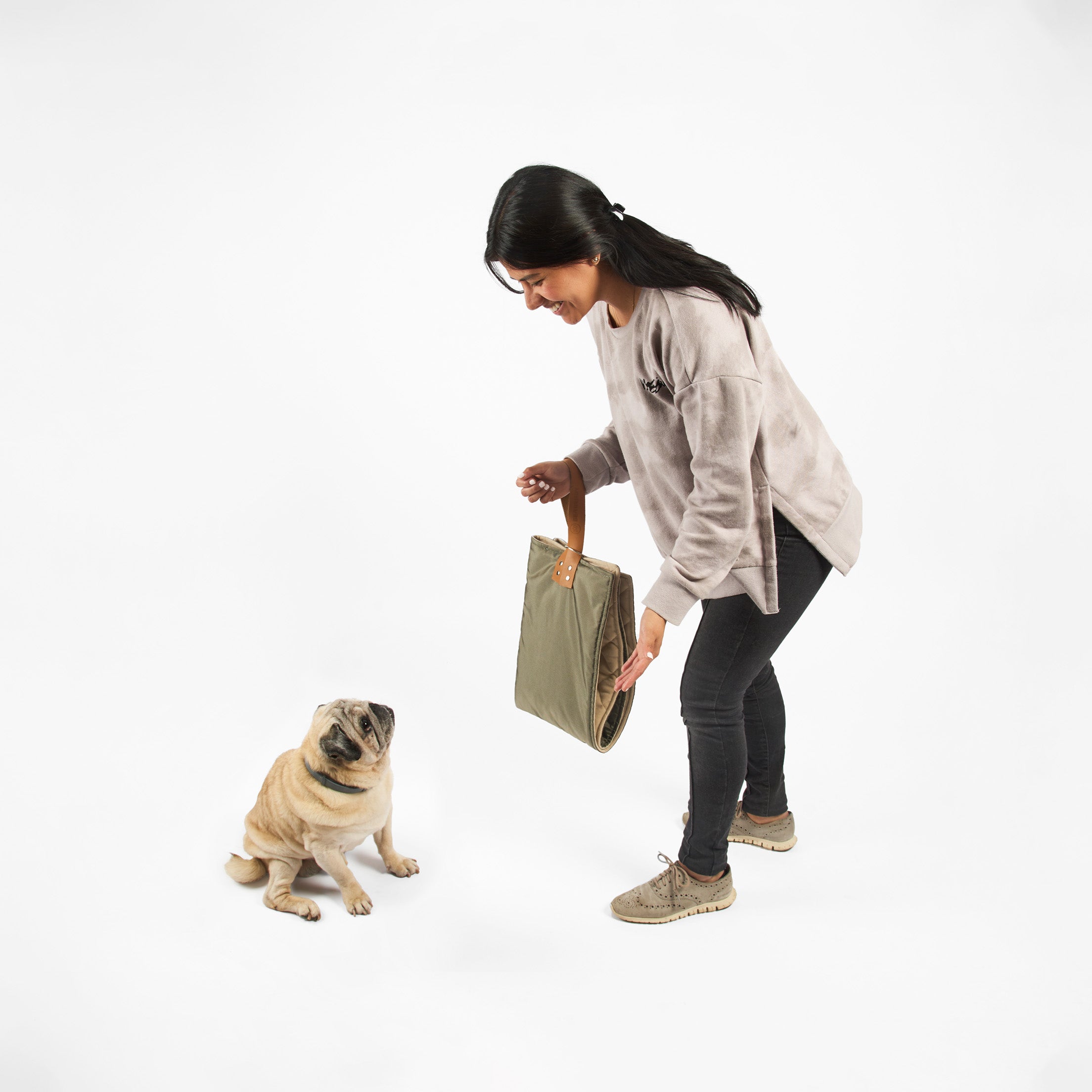 Cama portátil para perros: Comodidad en movimiento