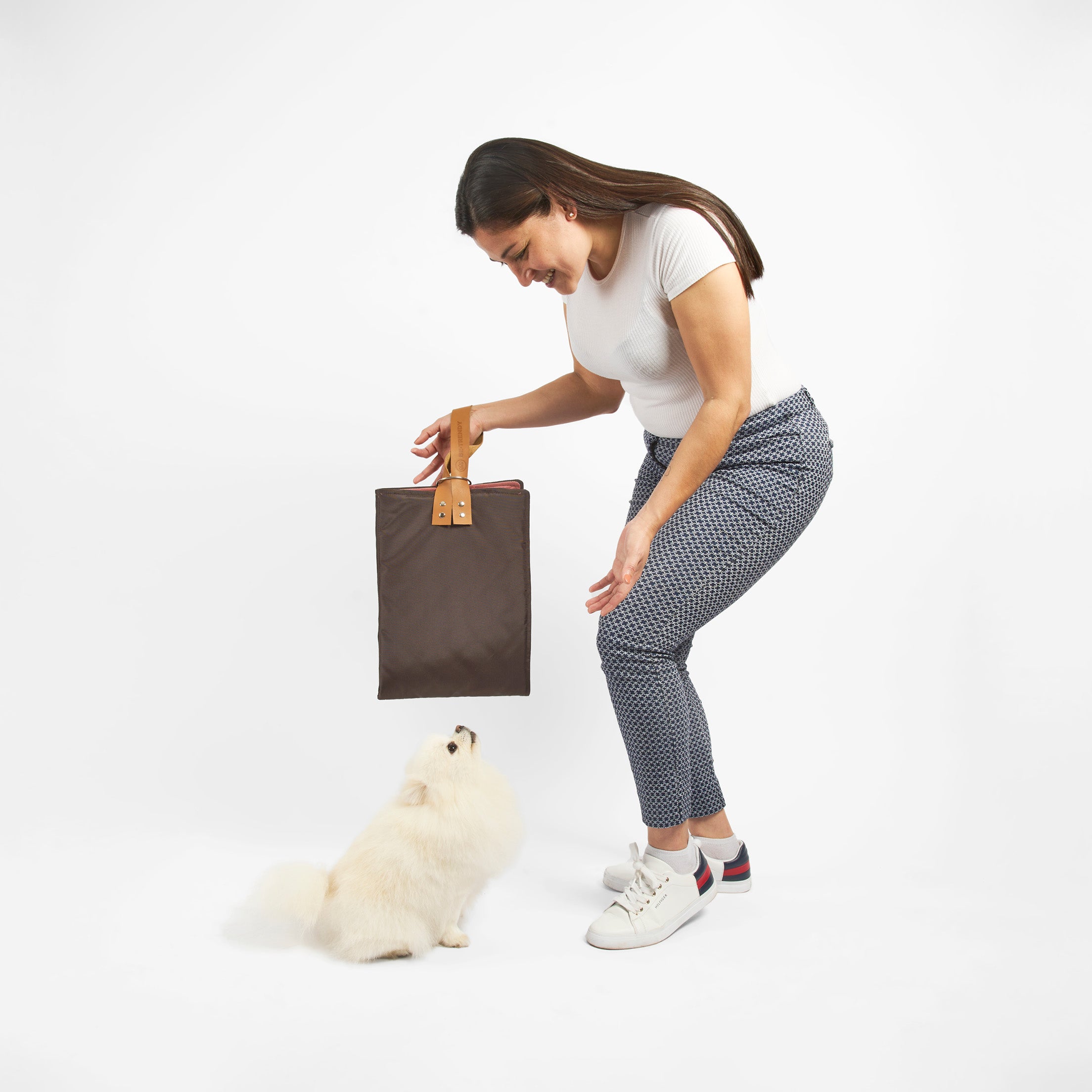 Cama portátil para perros: Comodidad en movimiento