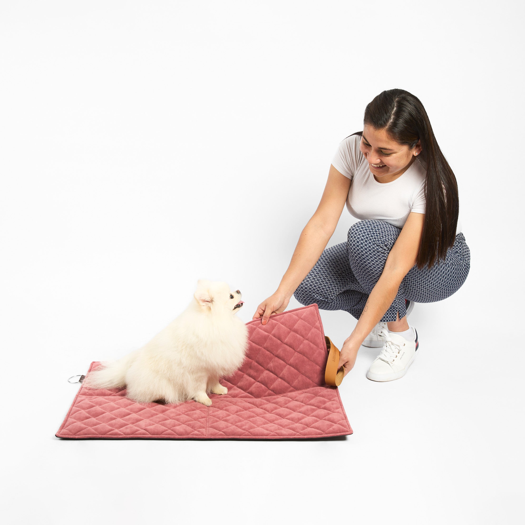 Cama portátil para perros: Comodidad en movimiento