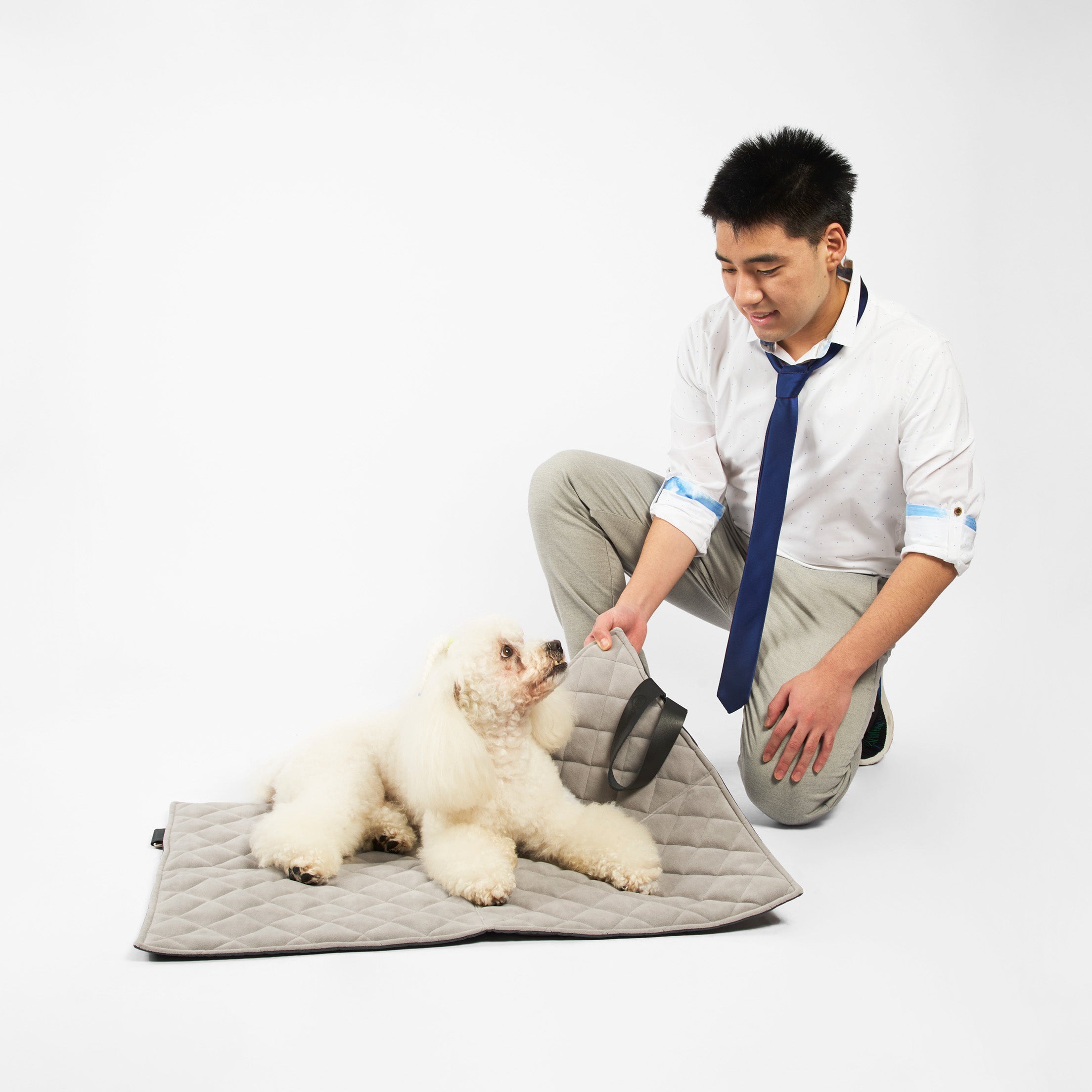 Cama portátil para perros: Comodidad en movimiento
