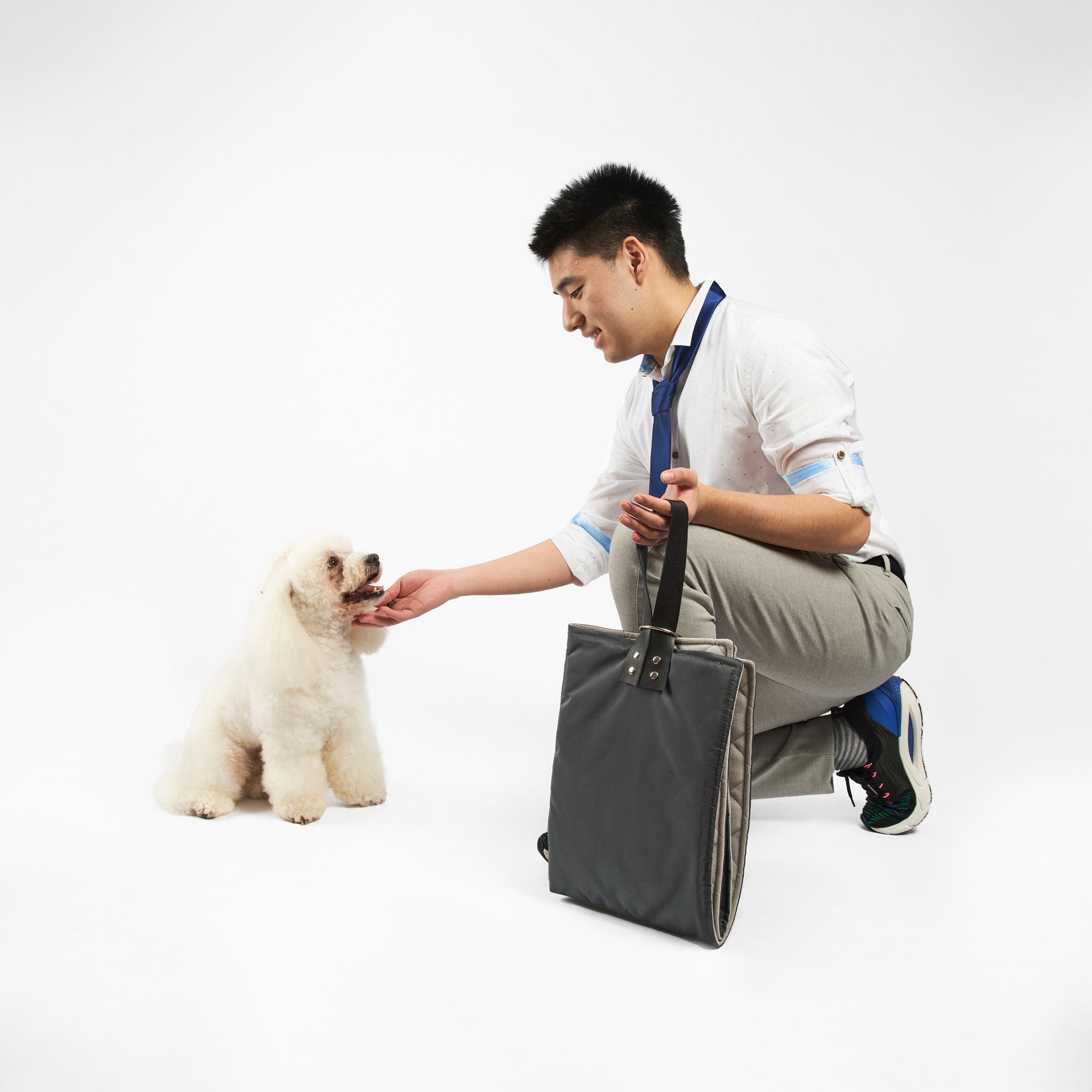 Cama portátil para perros: Comodidad en movimiento