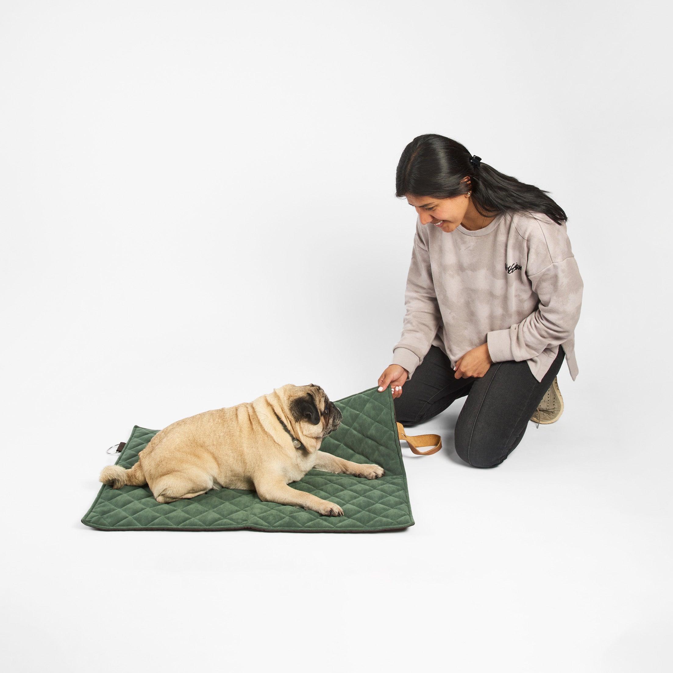 Cama portátil para perros: Comodidad en movimiento