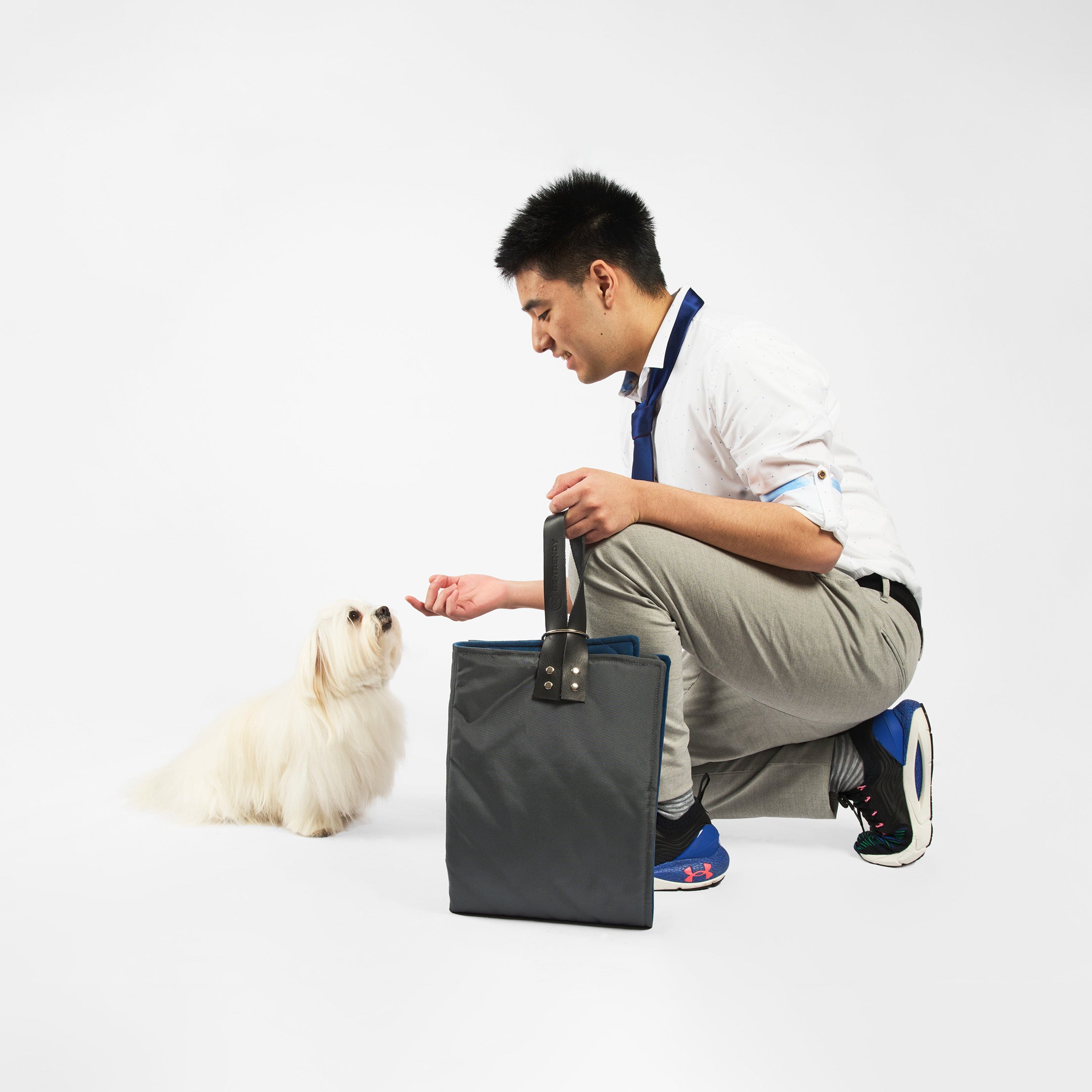 Cama portátil para perros: Comodidad en movimiento
