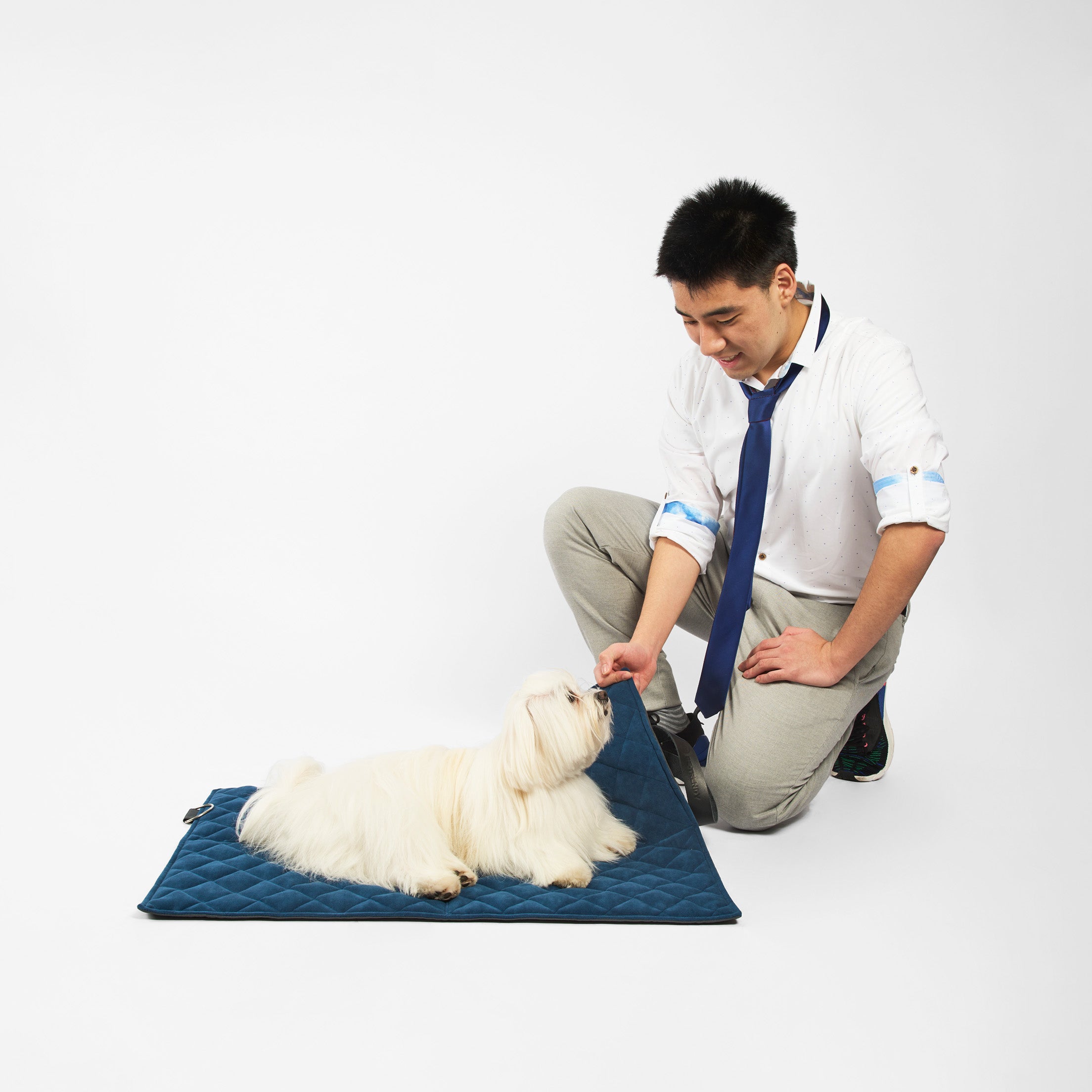 Cama portátil para perros: Comodidad en movimiento