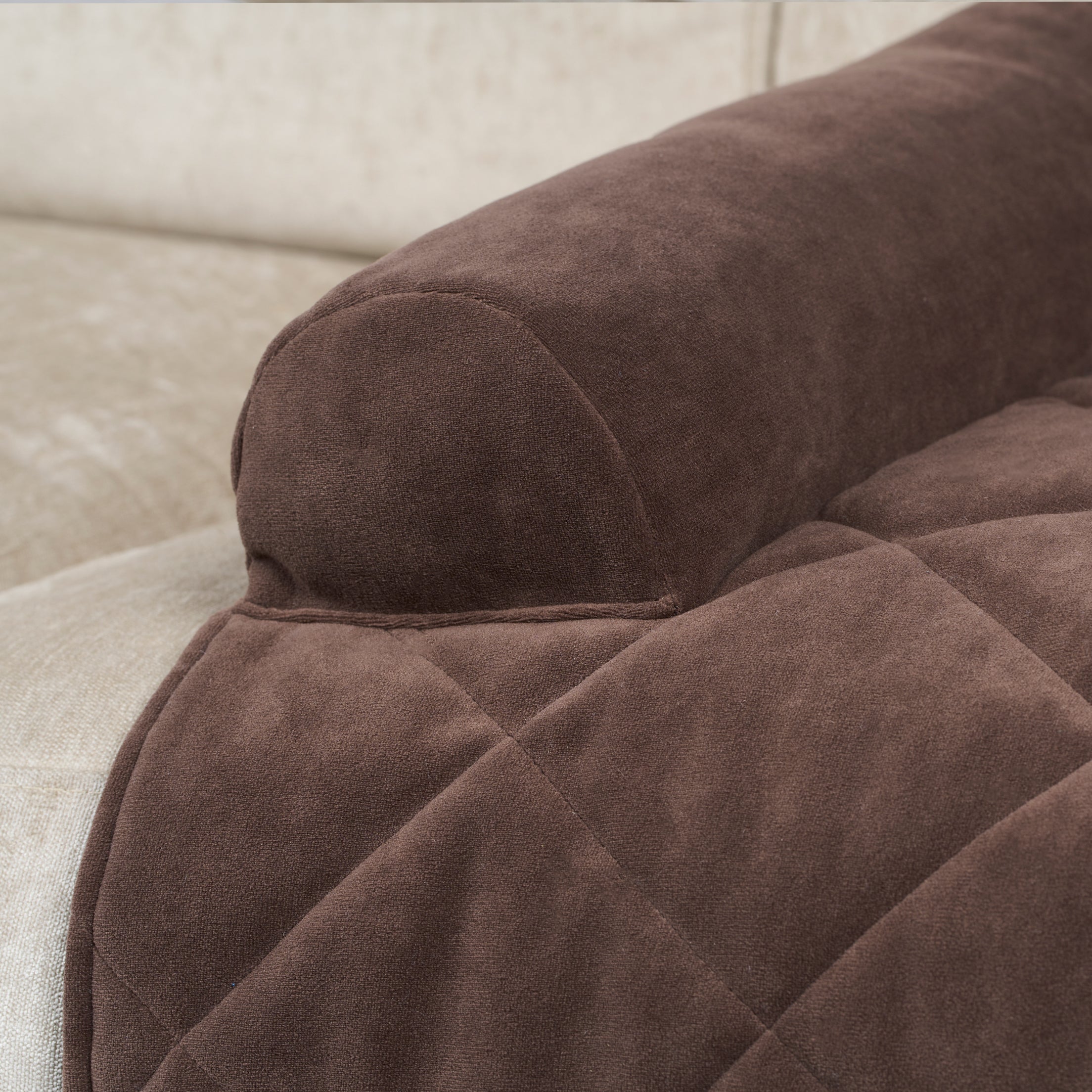 Protege los muebles de tu casa de los pelos de tu mascota con el pet cover tartufo be trendy