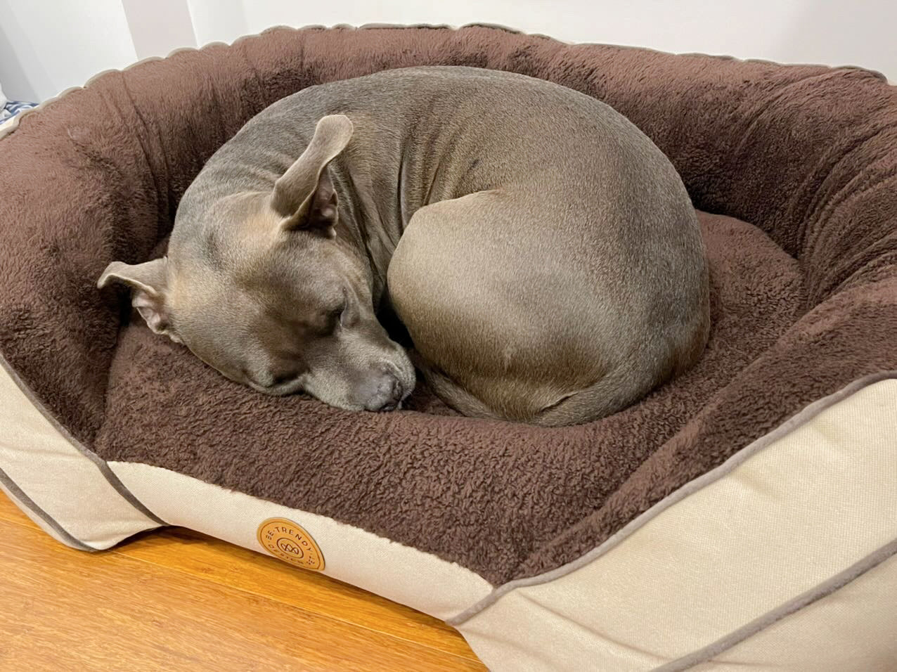 CAMA PARA PERRO SLOW CREME