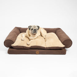 cama para perros grandes benefit tartufo