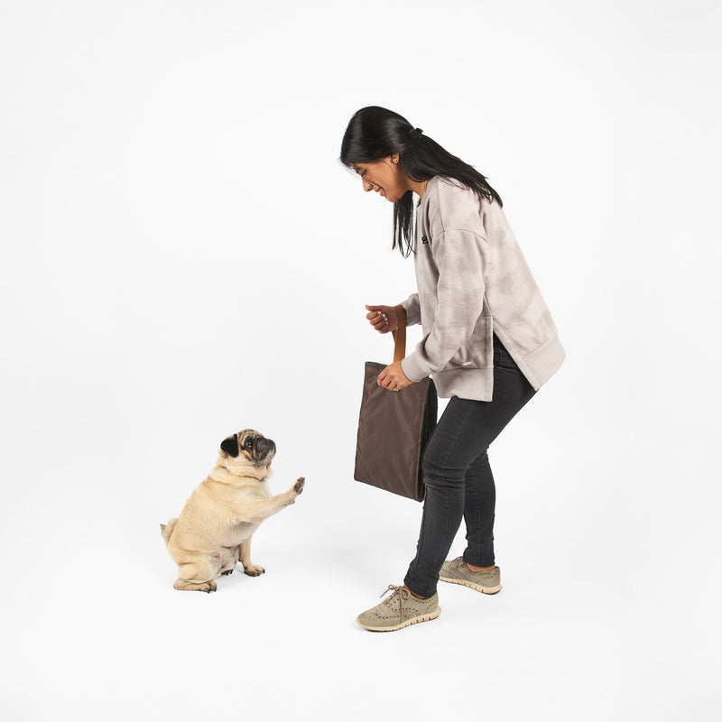 Cama portátil para perros: Comodidad en movimiento