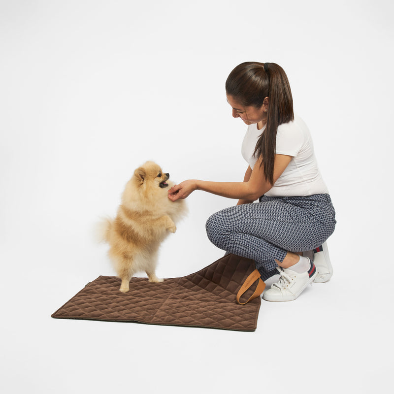 Cama portátil para perros: Comodidad en movimiento