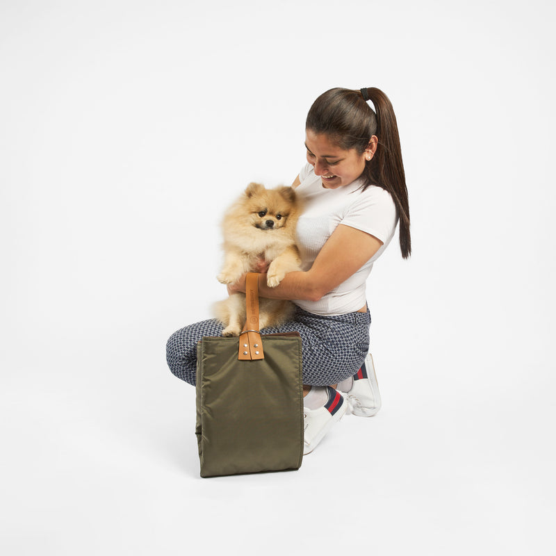 Cama portátil para perros: Comodidad en movimiento