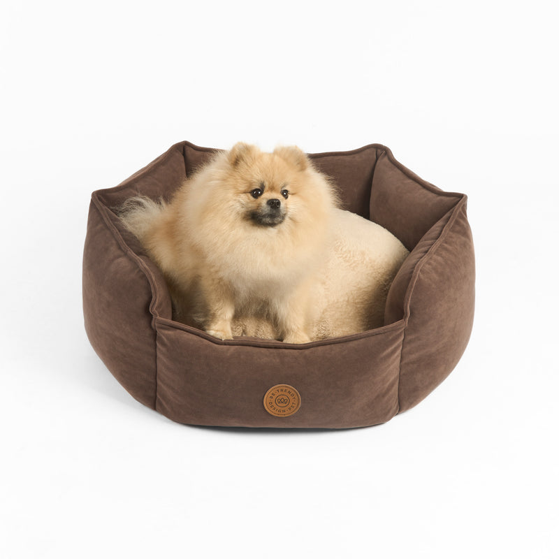 Cama para perros lavable hipoalergénico Rois Tartufo Lima peru Be trendy